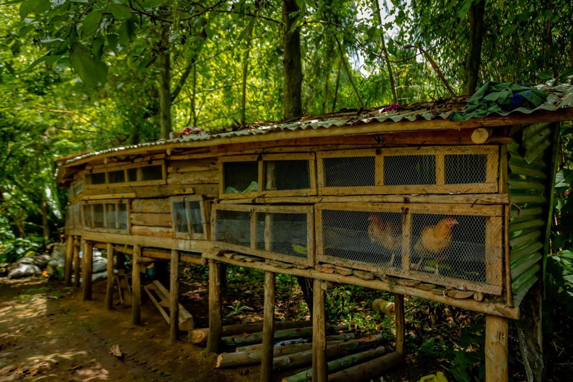 Fravan Eco Resort By Apogee Ruhengeri Dış mekan fotoğraf