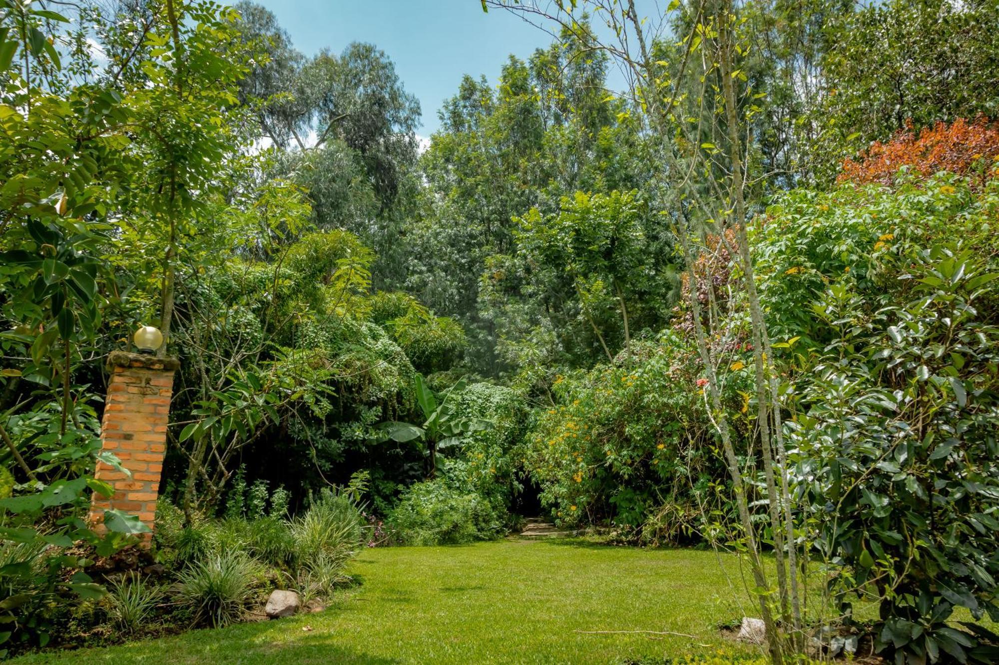 Fravan Eco Resort By Apogee Ruhengeri Dış mekan fotoğraf