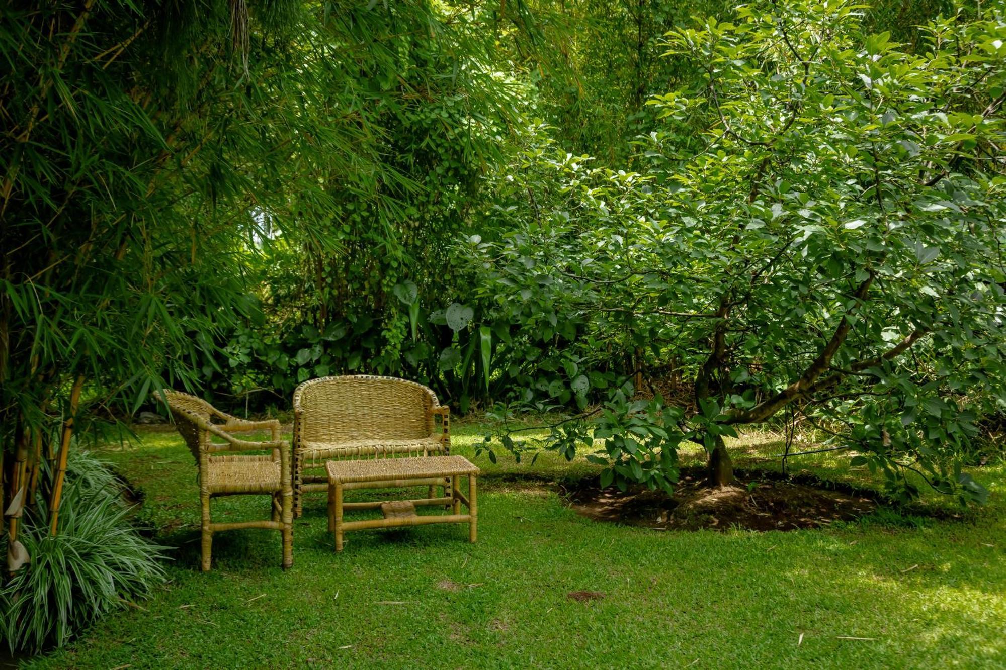 Fravan Eco Resort By Apogee Ruhengeri Dış mekan fotoğraf